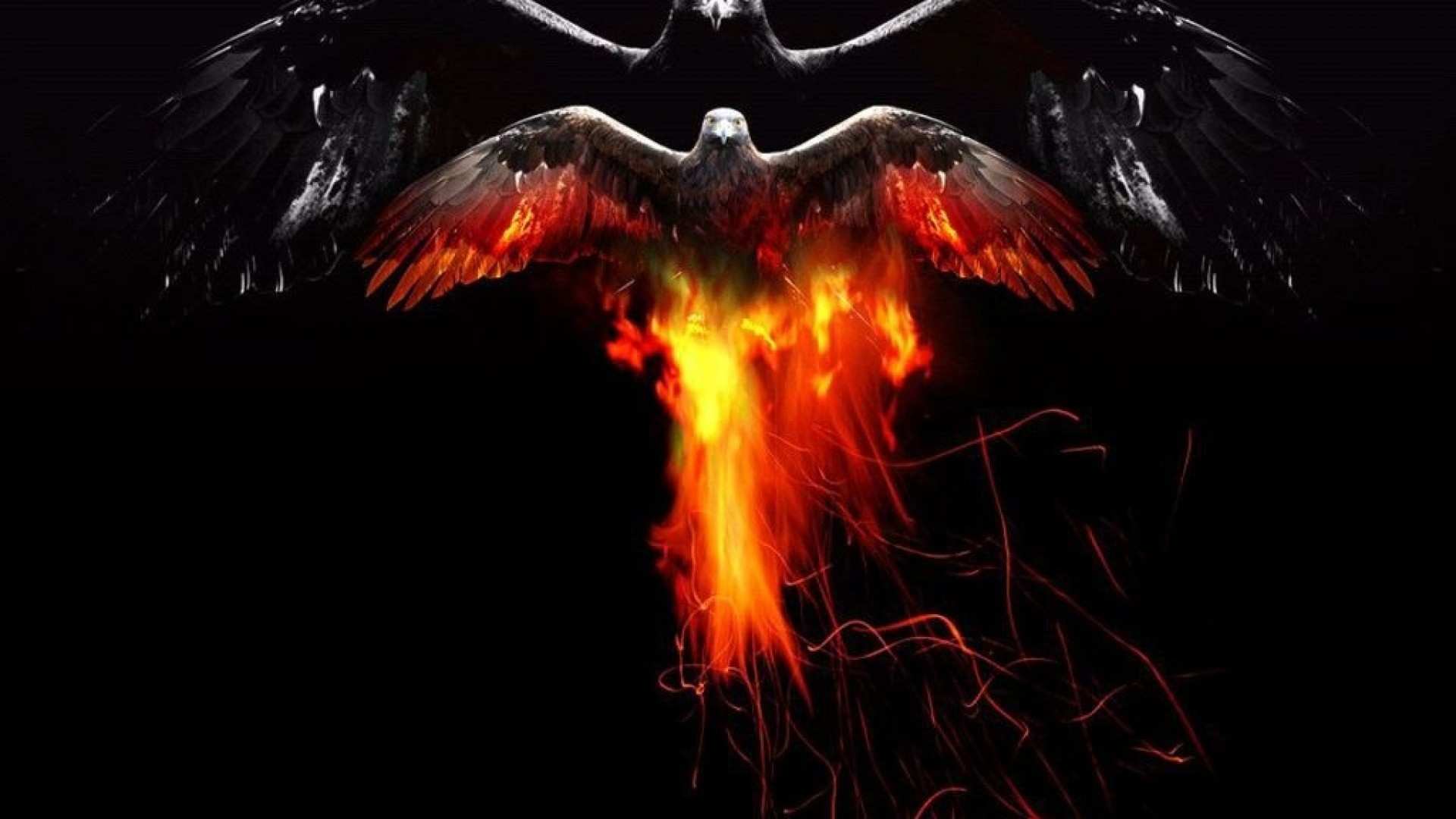 The Fire Ubuntu Wallpaper Lovely Screenheaven Bird Of Fire Sky Eagle Desktop and Mobile Background Of The Fire Ubuntu Wallpaper New Screenheaven Black Background Blue Fire Fire Flower Flame Desktop